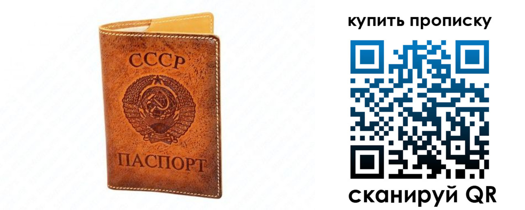 прописка поиск в Светлогорске