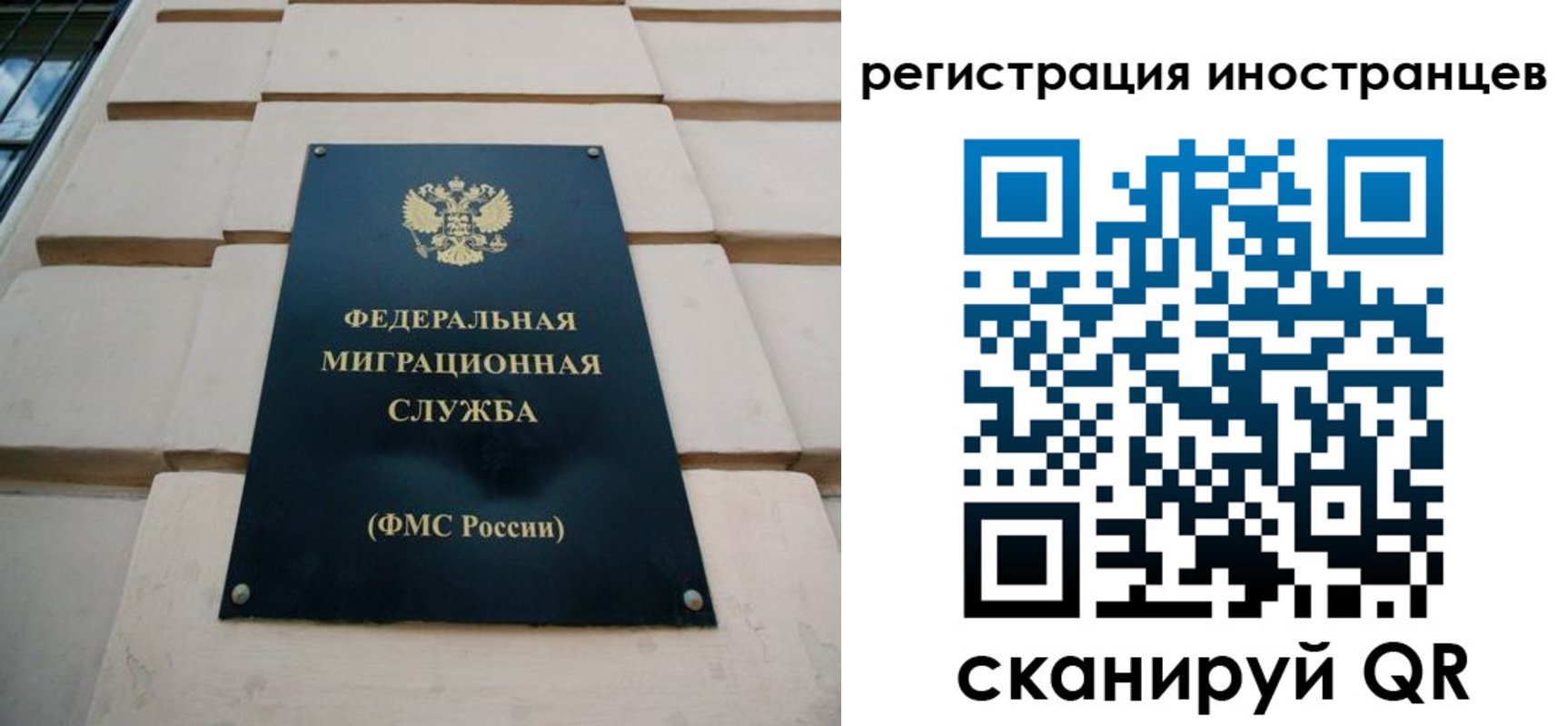 где прописаться в Светлогорске