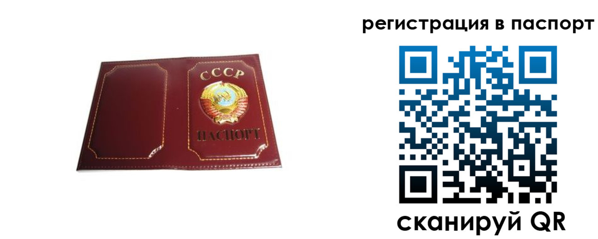 прописка 2025 в Светлогорске